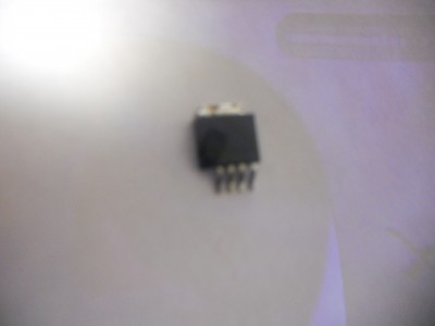 DSCN0384.JPG