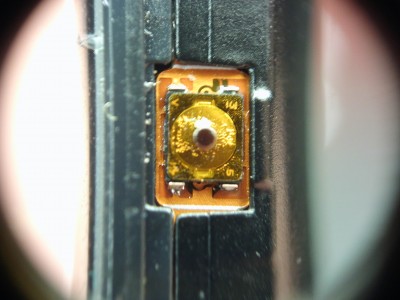 IMAG0105.jpg