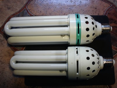 IMAG0081.jpg