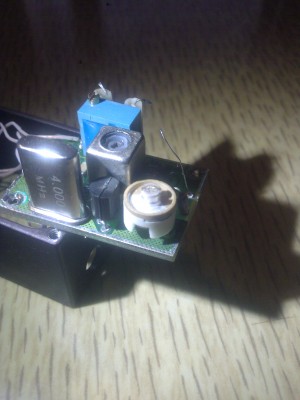 Фото-0009.jpg