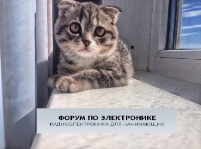 Шуня.JPG
