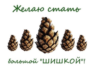 s-dnem-rozhdeniya-709.jpg