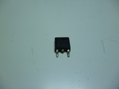 P1000621.JPG
